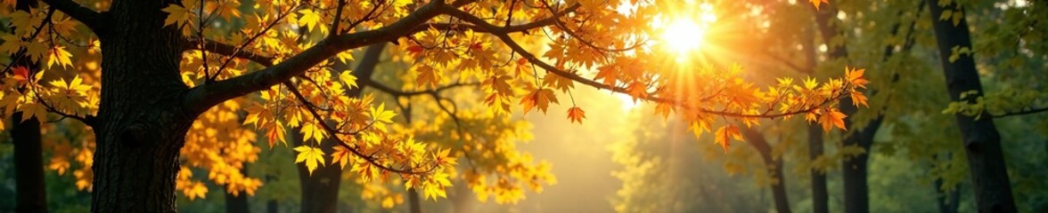 Sunlight filters through leaves of deciduous trees in spring, deciduous, sunlight, spring
