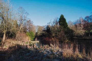 Glasgow Scotland: 8th Jan 2025: Scenic view of Kelvingrove Park surrounded by trees on a clear winter day