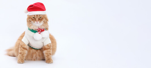 Cute ginger cat wearing a Santa hat and white Christmas sweater with pom-poms. Sitting on white background. Perfect for Christmas, winter holidays, greeting cards, and festive content.