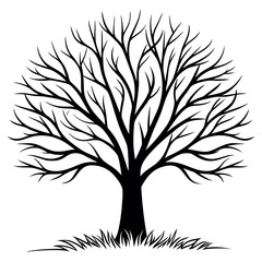 Obraz premium Black Silhouette Bare Tree Winter Branches Grass winter tree