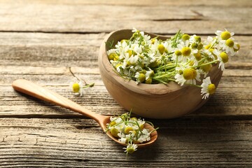 Fresh chamomile flowers in bowl and spoon on wooden table, closeup