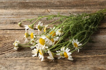 Beautiful chamomile flowers on wooden table, closeup