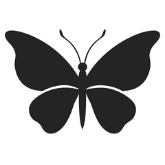 butterfly vector White Background
