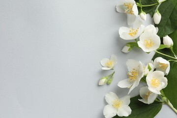 Beautiful jasmine flowers with leaves on light background, flat lay. Space for text
