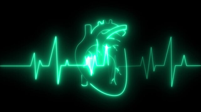Abstract neon heartbeat line 4k neon light heartbeat display screen medical research show sign colorful  4k video animation....