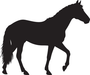 Canadian horse in silhouette vector pure white background.