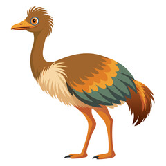 vector illustration of a bird