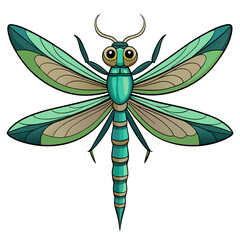 dragonfly vector illustration
