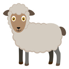 vector illustration of a sheep
