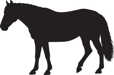 Canadian Pacer horse in silhouette vector pure white background.