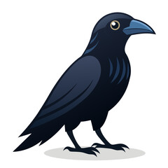crow on a white background