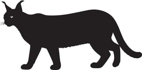 Caracal in silhouette vector pure white background.
