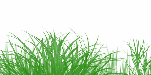 Green meadow grass border, on a transparent background, pang file. Vibrant green grass banner, isolated on pure white , ecology, artwork. 