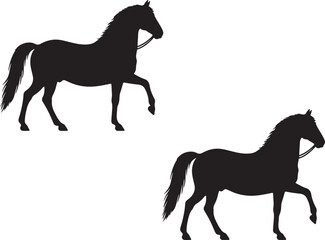 Cavallo Romano della Maremma Laziale in silhouette vector pure white background.
