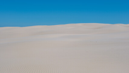 Discovering the serene sand dunes of denmark under a clear blue sky