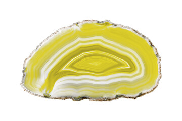 A painted Yellow agate slice with white veins on a white background highlights nature’s beauty....