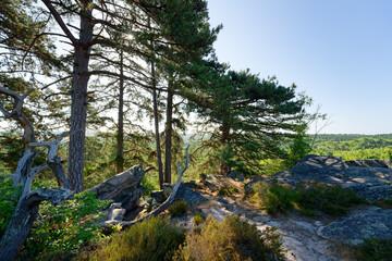   The Horned Rock  point of view in the French Gâtinais Regional Nature Park