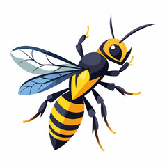 hornet on white background