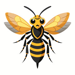 vector illustration of a bee