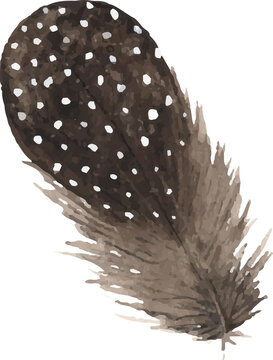 Feather boho chic watercolor illustration clipart