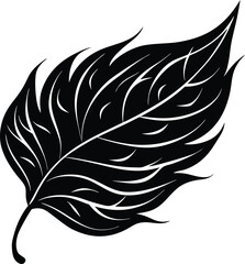 Obraz premium Silhouette of a Wind Blown Leaf