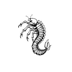 Stylized insect illustration showing fantasy creature with mechanical robotic body concept art design, with monochrome aesthetics