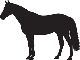 Obraz premium Croatian Coldblood in silhouette vector pure white background.