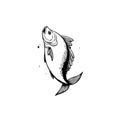 Elegant fish drawing with detailed line art illustration isolated on a clean white background showcases minimalism