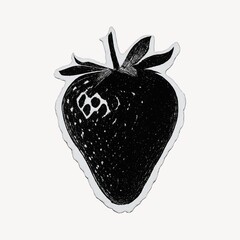Vintage strawberry sketch illustration