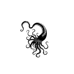 Mysterious black and white octopus illustration with curly tentacles in vector format for artistic themes and designs