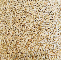 Top view of a large pile of hulled sunflower seeds filling the entire frame, natural beige tones,...