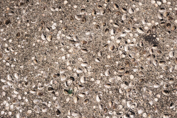 Texture of a street floor. Geometric pattern. Background. Abstract. Copy space.