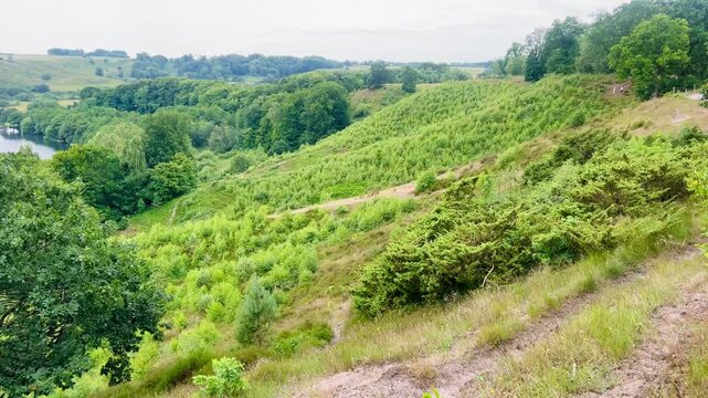View over Hald Lake from Dollerup bakker, Viborg, Denmark. Tree row avenue at Hald lake. Heather lands. The Manor House of Hald in Dollerup, beautiful location of this historical building. Nice park 