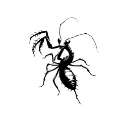 Detailed graphic illustration of a praying mantis ant hybrid in black and white sketch style