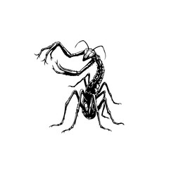 Intricate black and white illustration of a stylized ant with exaggerated features and detailed textures artwork