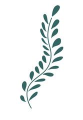 vector floral background leaves