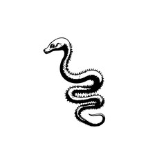 Elegant monochromatic drawing showcasing a stylized snake in a coiled position with textured skin and defined features