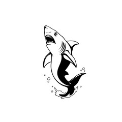 Sharp teeth, dangerous predator the shark vector graphic on white background an excellent image