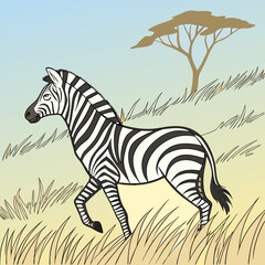Obraz premium A zebra family grazes in the savanna in close proximity to other animals vector design