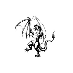 Majestic dragon illustration featuring a powerful mythical creature with intricate details and dynamic pose perfect for various creative projects