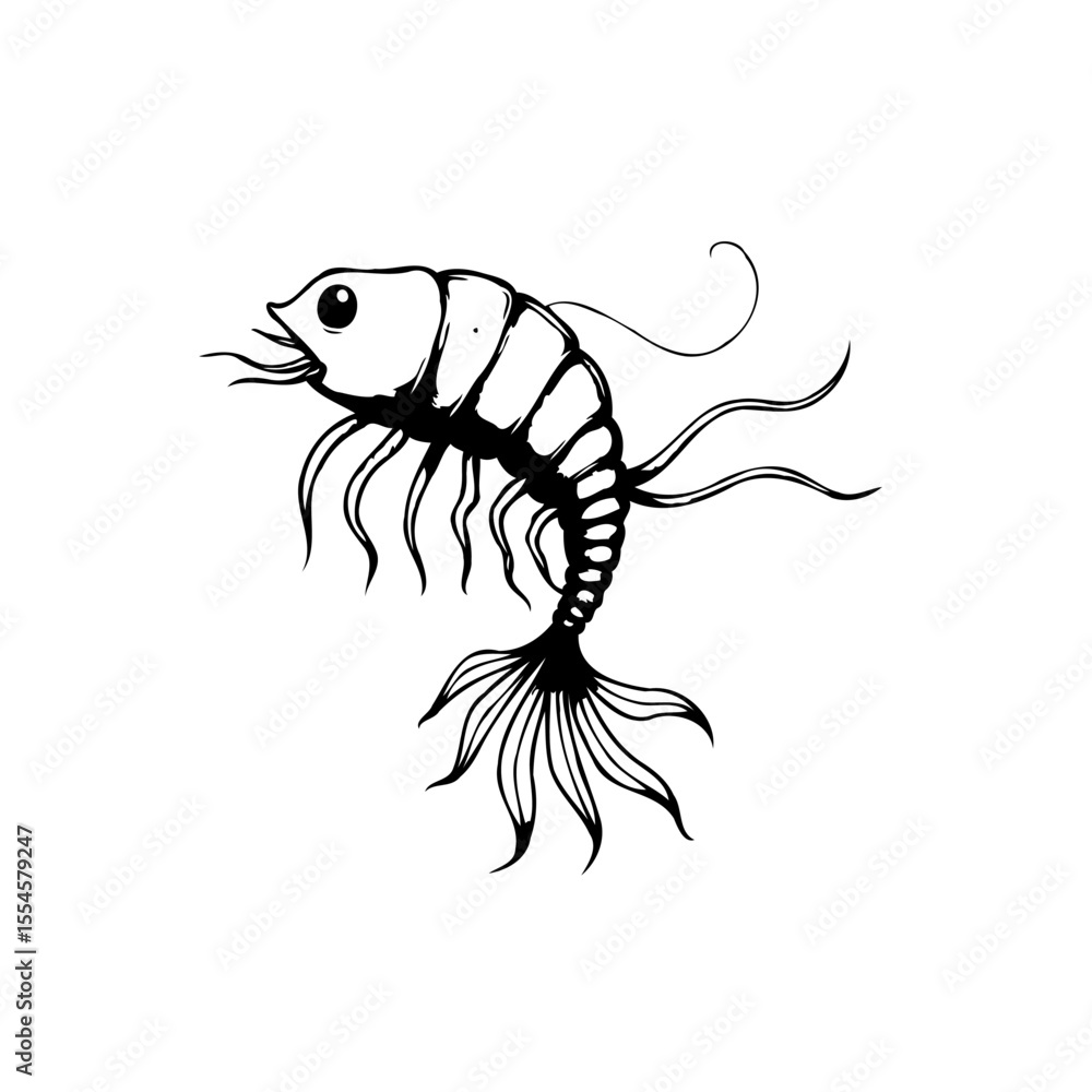 Poster whimsical shrimp illustration with delicate lines perfect for logos and branding projects creating a