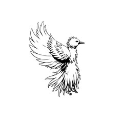 Elegant phoenix illustration showcasing detailed feathering a symbol of transformation and rebirth isolated on a white background