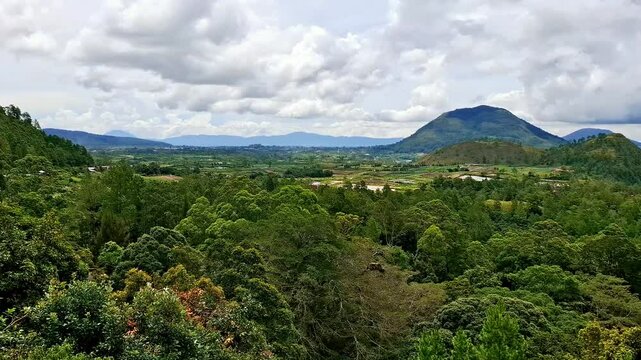 Forest landscape in the Parapat area, North Sumatra. Panoramic view of the green protected natural forest in the midday sun.