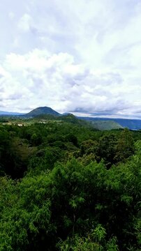 Forest landscape in the Parapat area, North Sumatra. Panoramic view of the green protected natural forest in the midday sun.