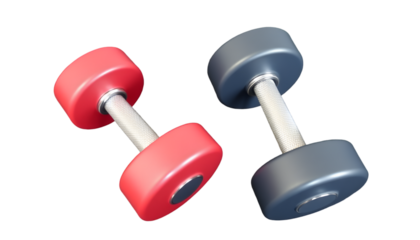 Dumbbells (Pair) – metallic or rubber finish