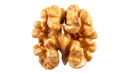 kernel of walnuts isolated on transparent background