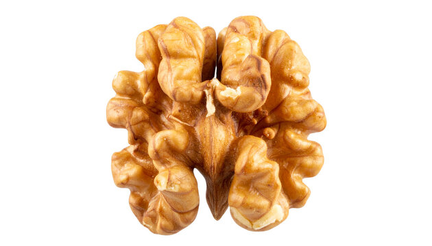 kernel of walnuts isolated on transparent background