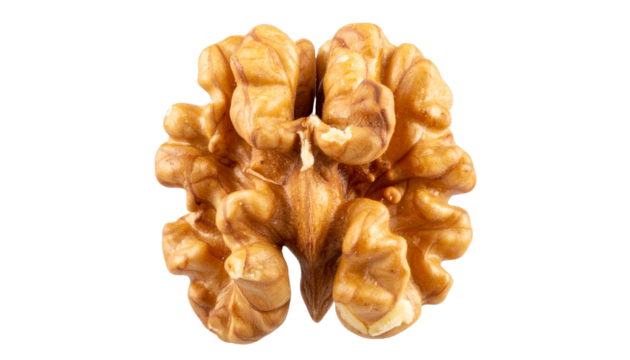 kernel of walnuts isolated on transparent background