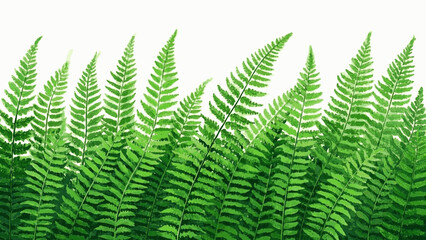 Eternal Green Pattern fern isolated watercolor vector illustration svg