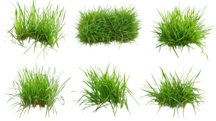 Top view collection of green grass patches with natural texture and fresh lawn elements isolated on white background